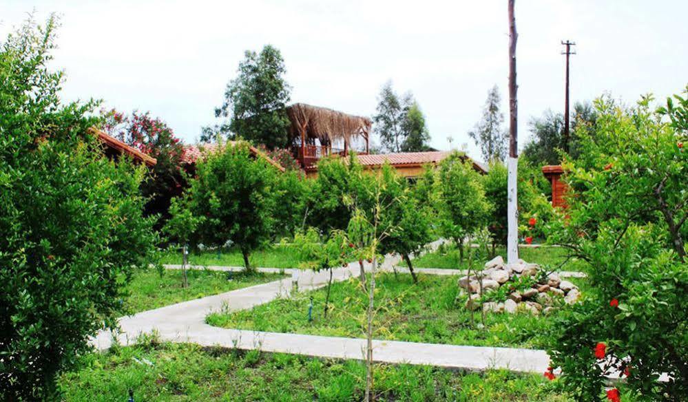 Villa Iz Çıralı Zewnętrze zdjęcie